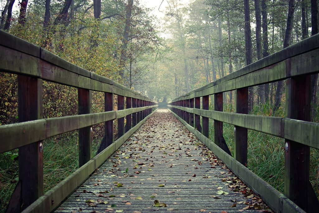 bridge-3000312_1920